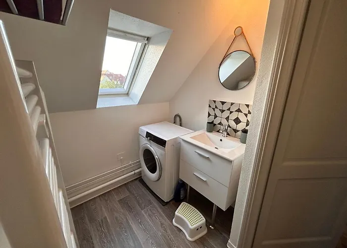 Le Nouveau Vauban 公寓 科尔马