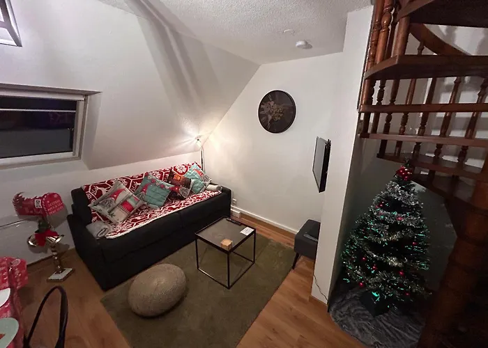 Le Nouveau Vauban 科尔马